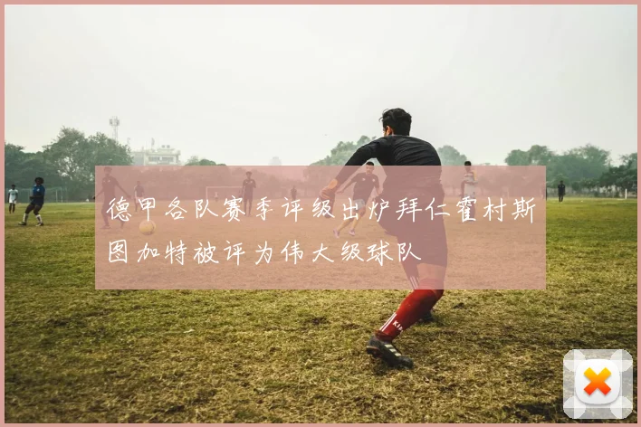 德甲各队赛季评级出炉拜仁霍村斯图加特被评为伟大级球队